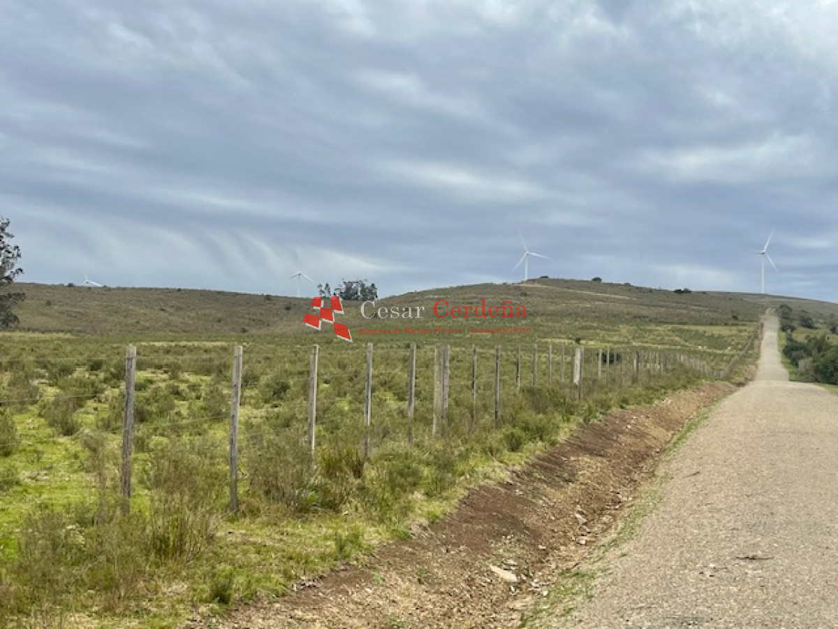 Campo Ref.1900 - VENTA - Campito de 86 hectáreas en las Sierras