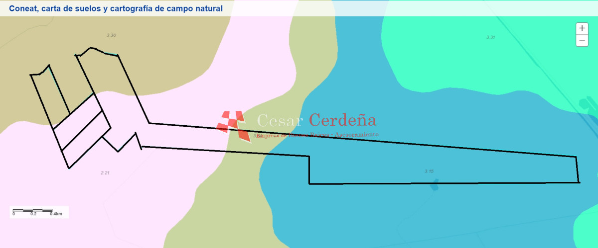 Campo Ref.1899 - VENTA - Campo 208 hectareas en La Coronilla