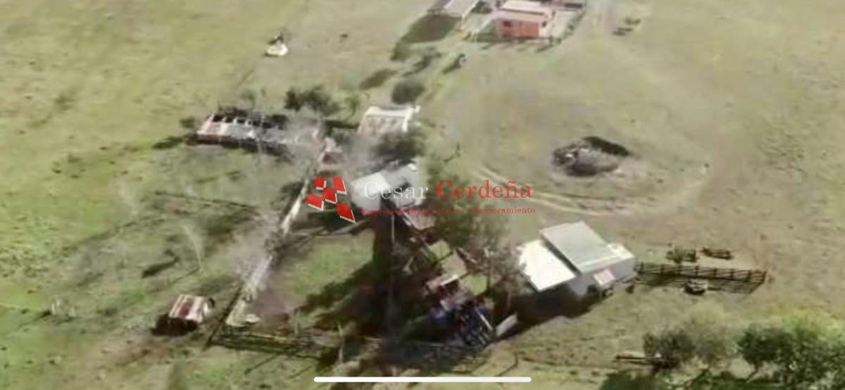Campo Ref.1895 - VENTA - 73 has en Rocha