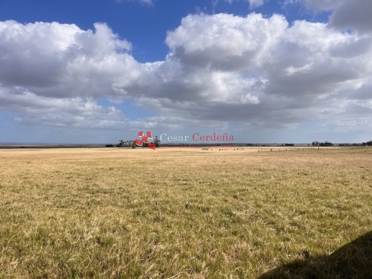 Campo Ref.1951 - VENTA - Campo 754 hectáreas - Rocha