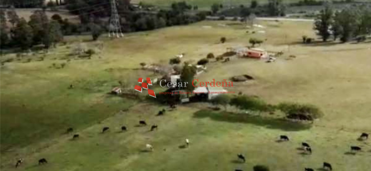 Campo Ref.1895 - VENTA - 73 has en Rocha