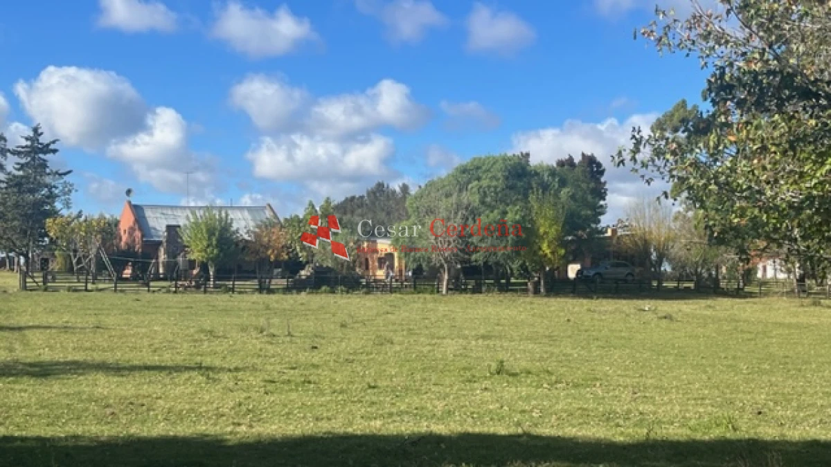 Campo Ref.1780 - VENTA - Campo de 83 hectáreas en Maldonado