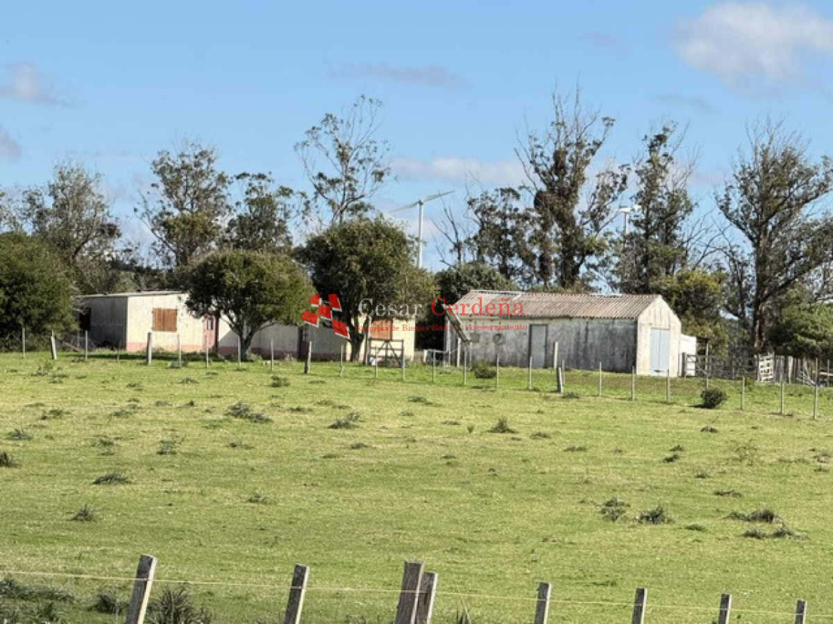 Campo Ref.1936 - VENTA - Campo 240 hectáreas en 19 de Abril - Rocha