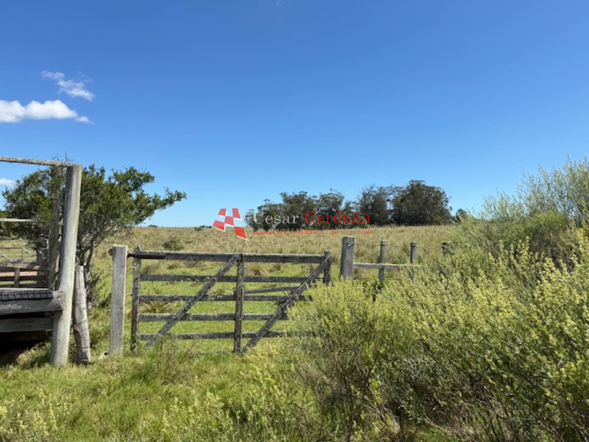 Campo Ref.1947 - VENTA - Campo 316 hectareas en Garzon, Rocha