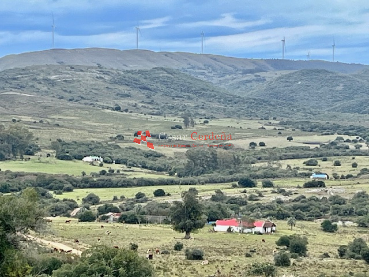 Campo Ref.1900 - VENTA - Campito de 86 hectáreas en las Sierras