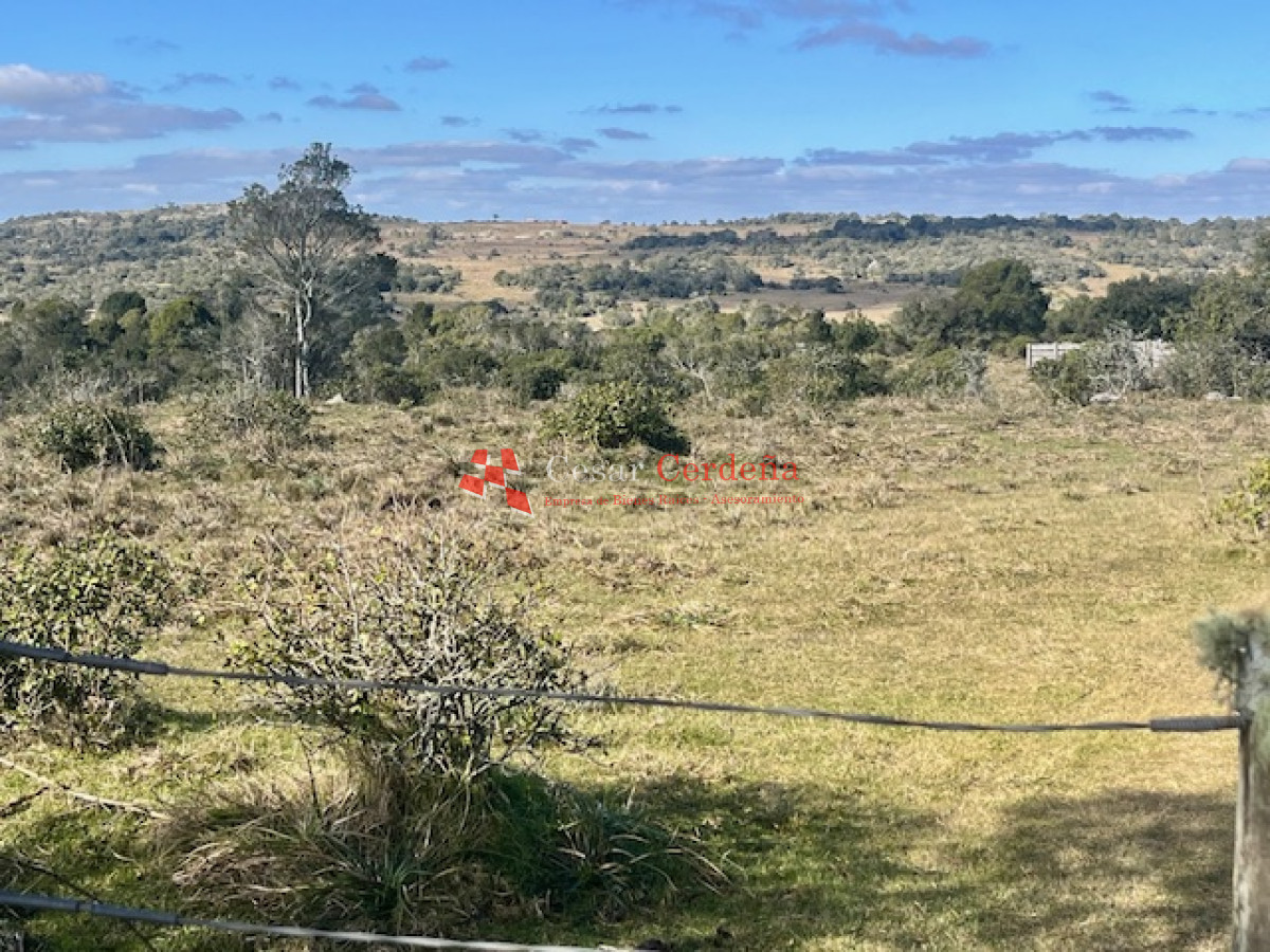 Campo Ref.1887 - VENTA - Campo 79 hectareas ruta 109