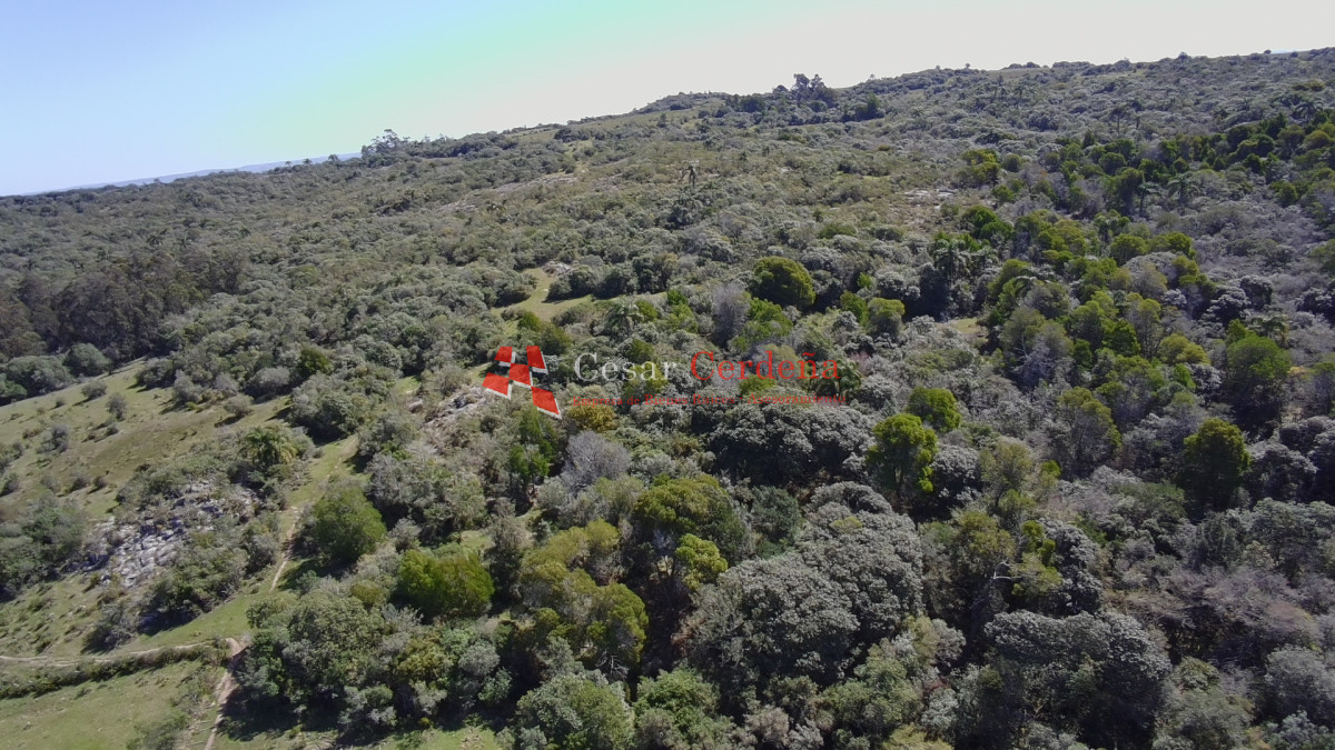 Campo Ref.1968 - VENTA - Campo 106 hectareas - Castillos
