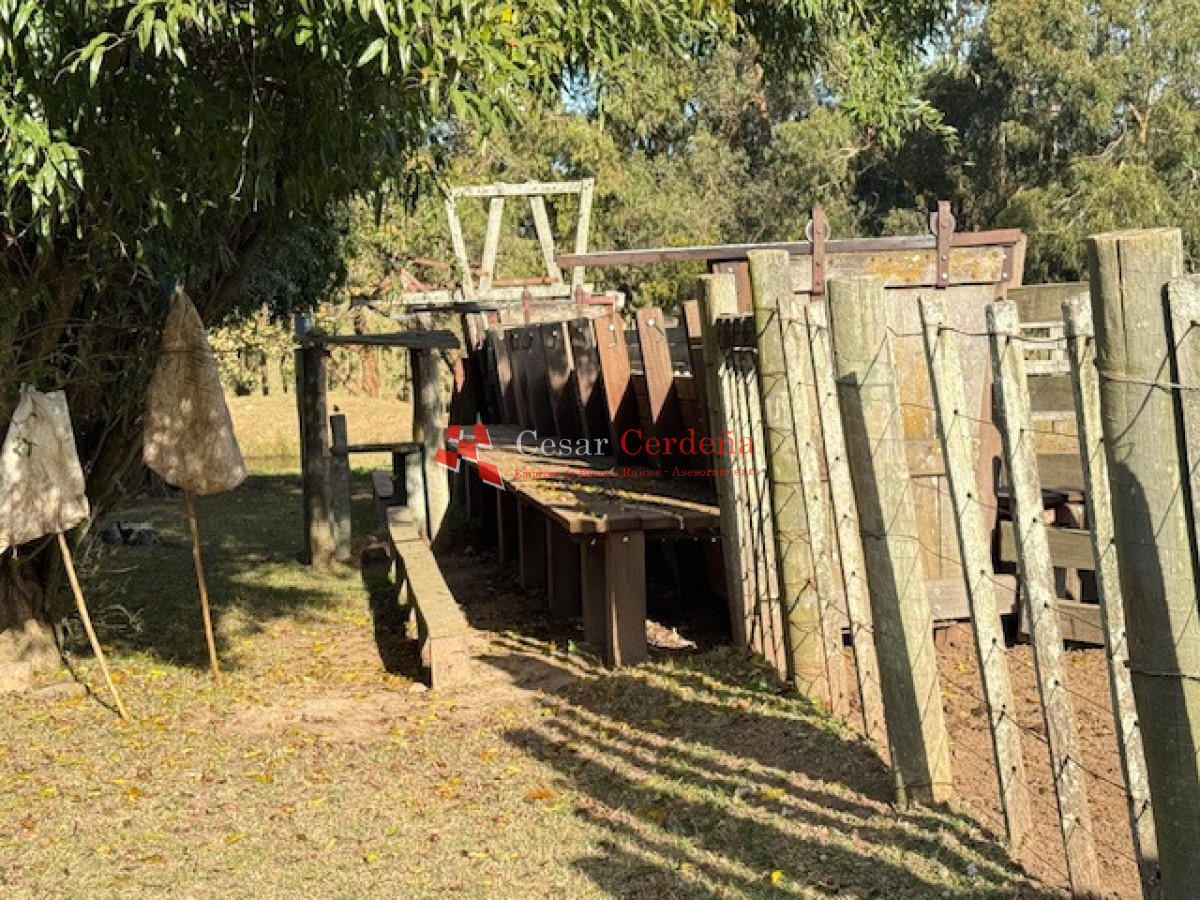 Campo Ref.1998 - VENTA - Campo 358 hectáreas en Garzón, Rocha