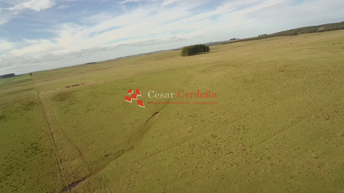 Campo Ref.2007 - VENTA - Campo 655 hectáreas cercano a Velazquez