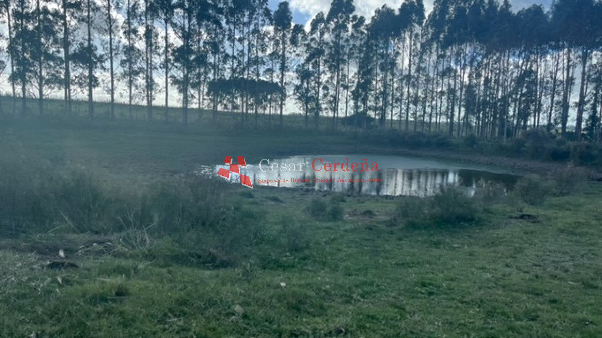 Campo Ref.1937 - VENTA - Campo de 83 hectáreas en Maldonado