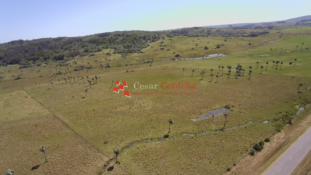 Campo Ref.1968 - VENTA - Campo 106 hectareas - Castillos