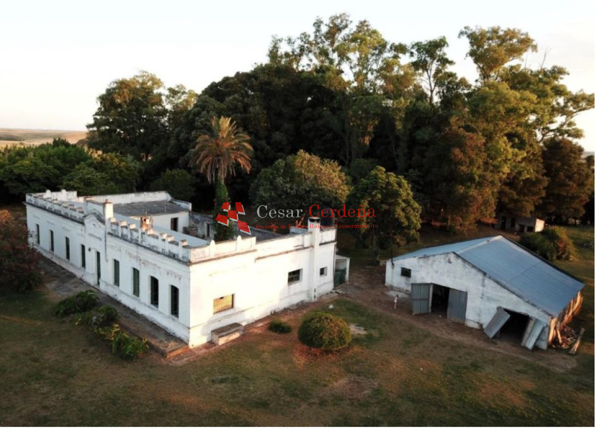 Campo Ref.1908 - VENTA - Campo 1228 hectareas - Treinta y Tres