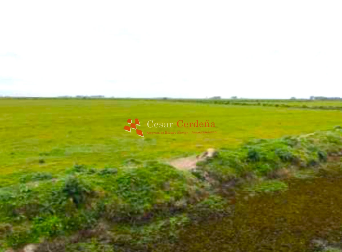 Campo Ref.1909 - VENTA -Campo en Rocha 690 hectáreas 