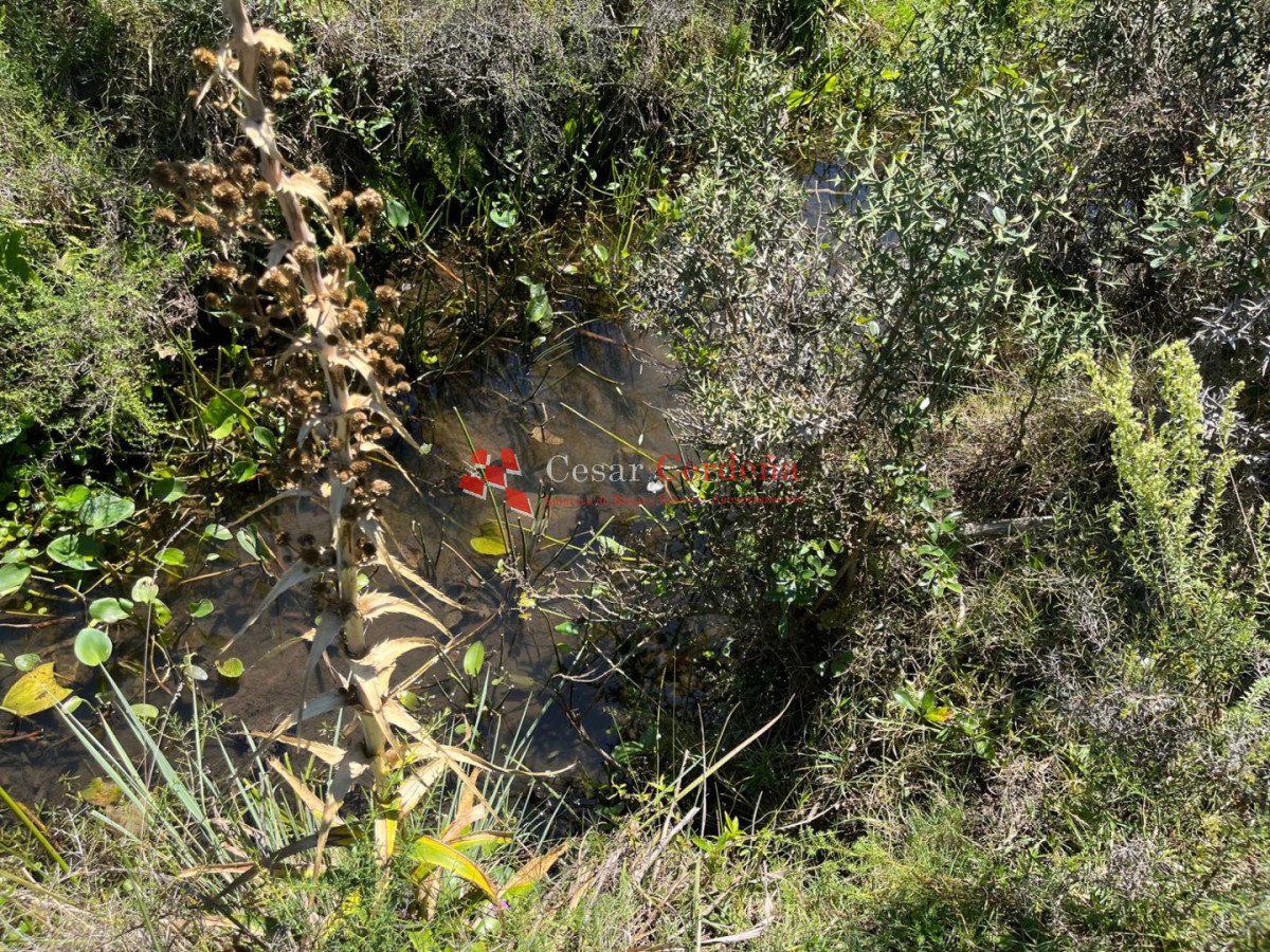 Campo Ref.1970 - VENTA - Campo 49 hectareas Pan de Azucar