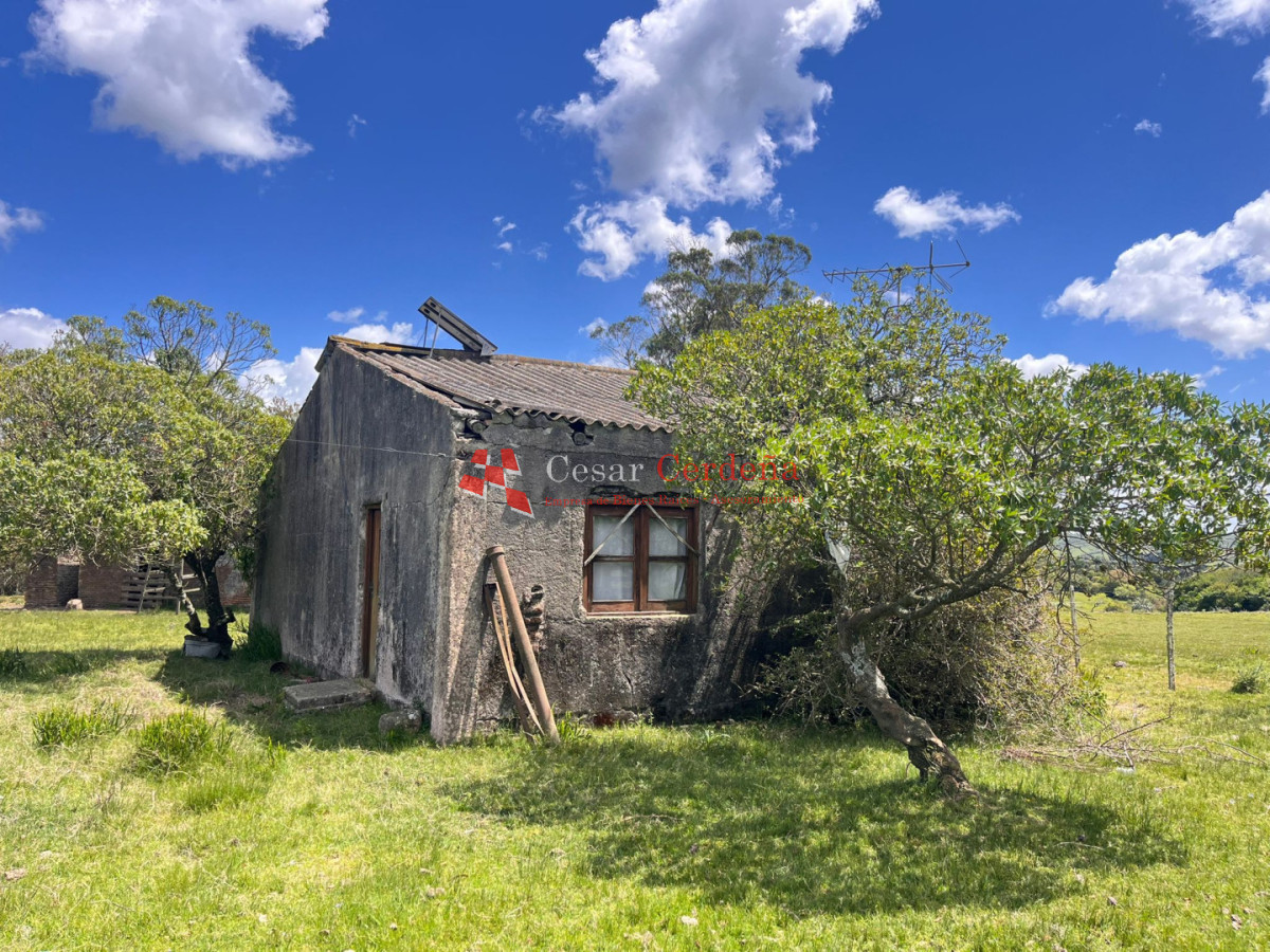 Campo Ref.1922 - VENTA - 124 HAS CASTILLOS