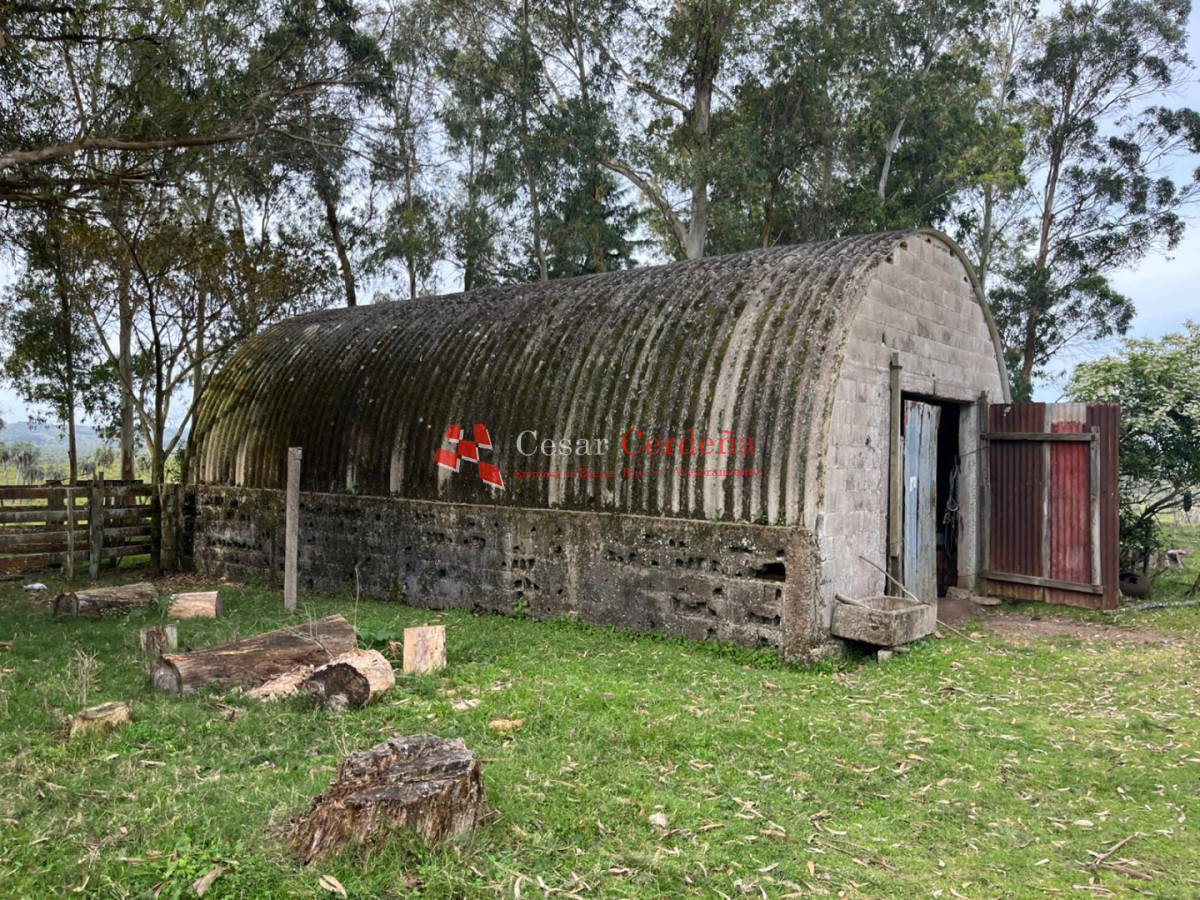Campo Ref.1952 - VENTA - Campo 138 hectareas en Castillos Rocha