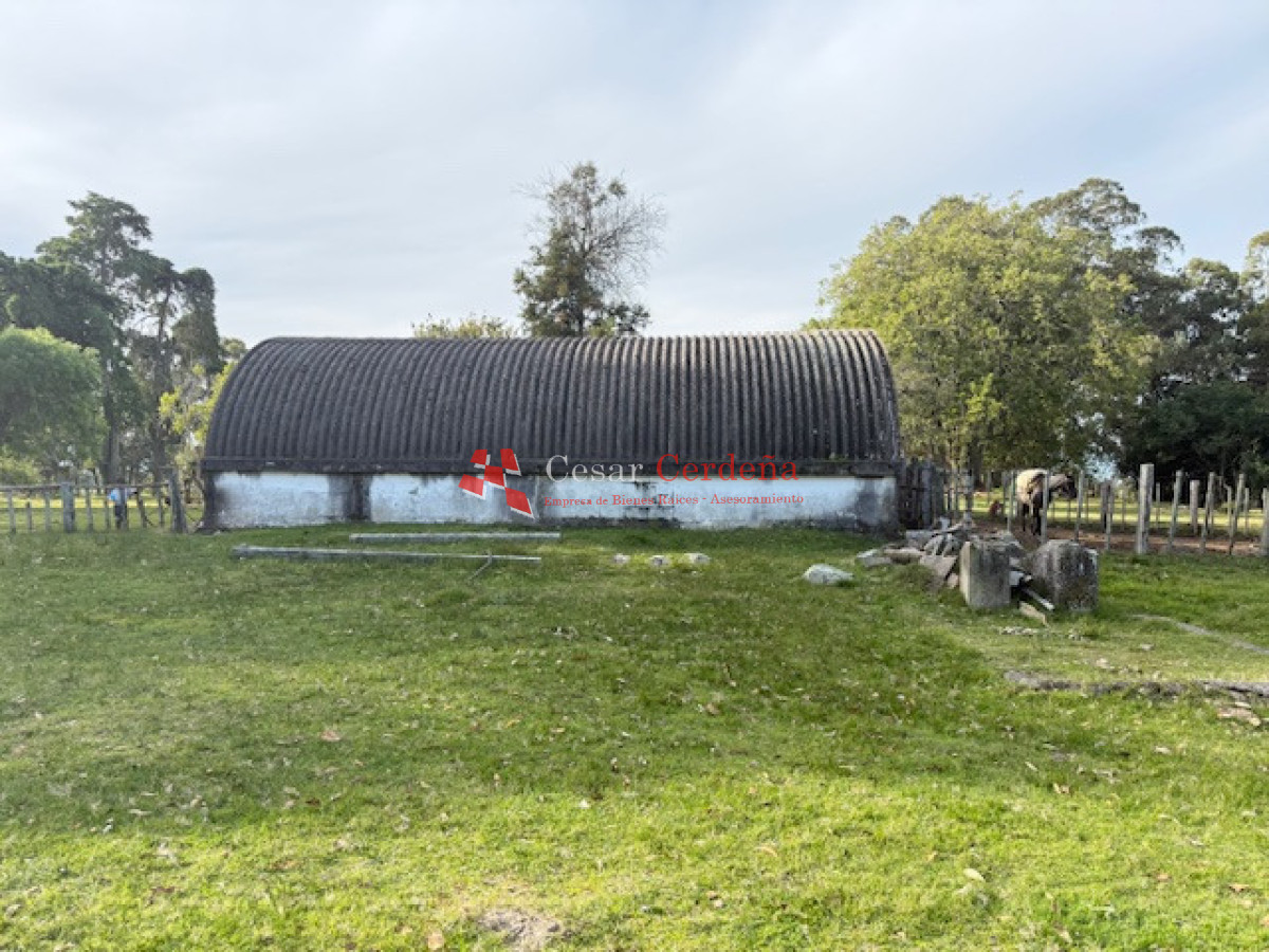 Campo Ref.1998 - VENTA - Campo 358 hectáreas en Garzón, Rocha