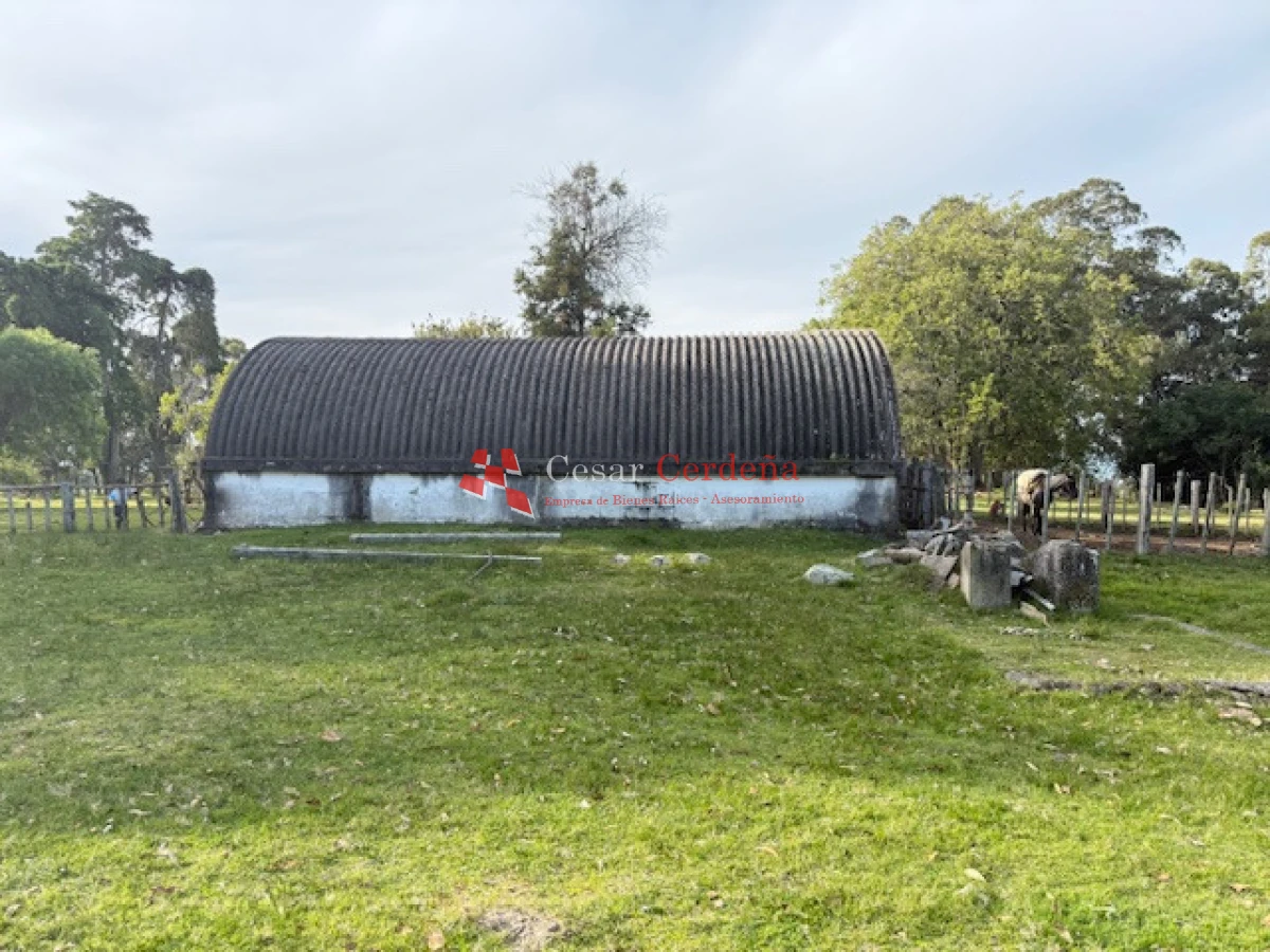 Campo Ref.1998 - VENTA - Campo 358 hectáreas en Garzón, Rocha