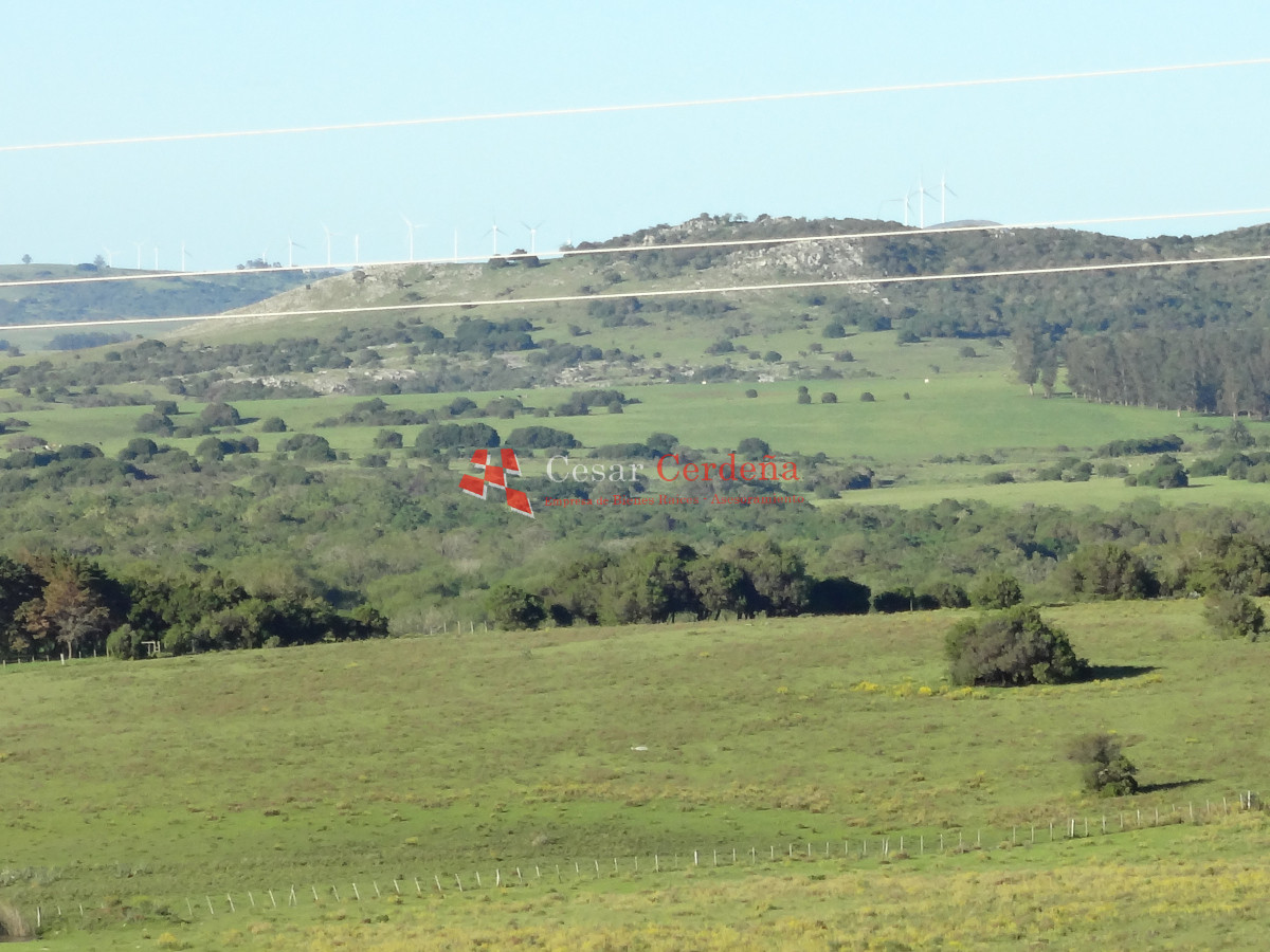 Campo Ref.1938 - VENTA - Campo 1200 hectáreas - Lavalleja