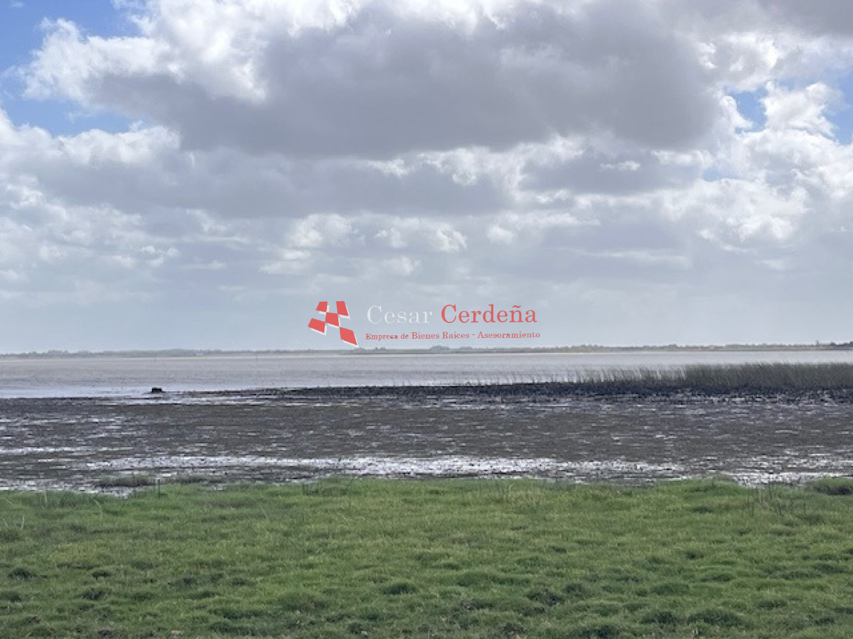 Campo Ref.1951 - VENTA - Campo 754 hectáreas - Rocha