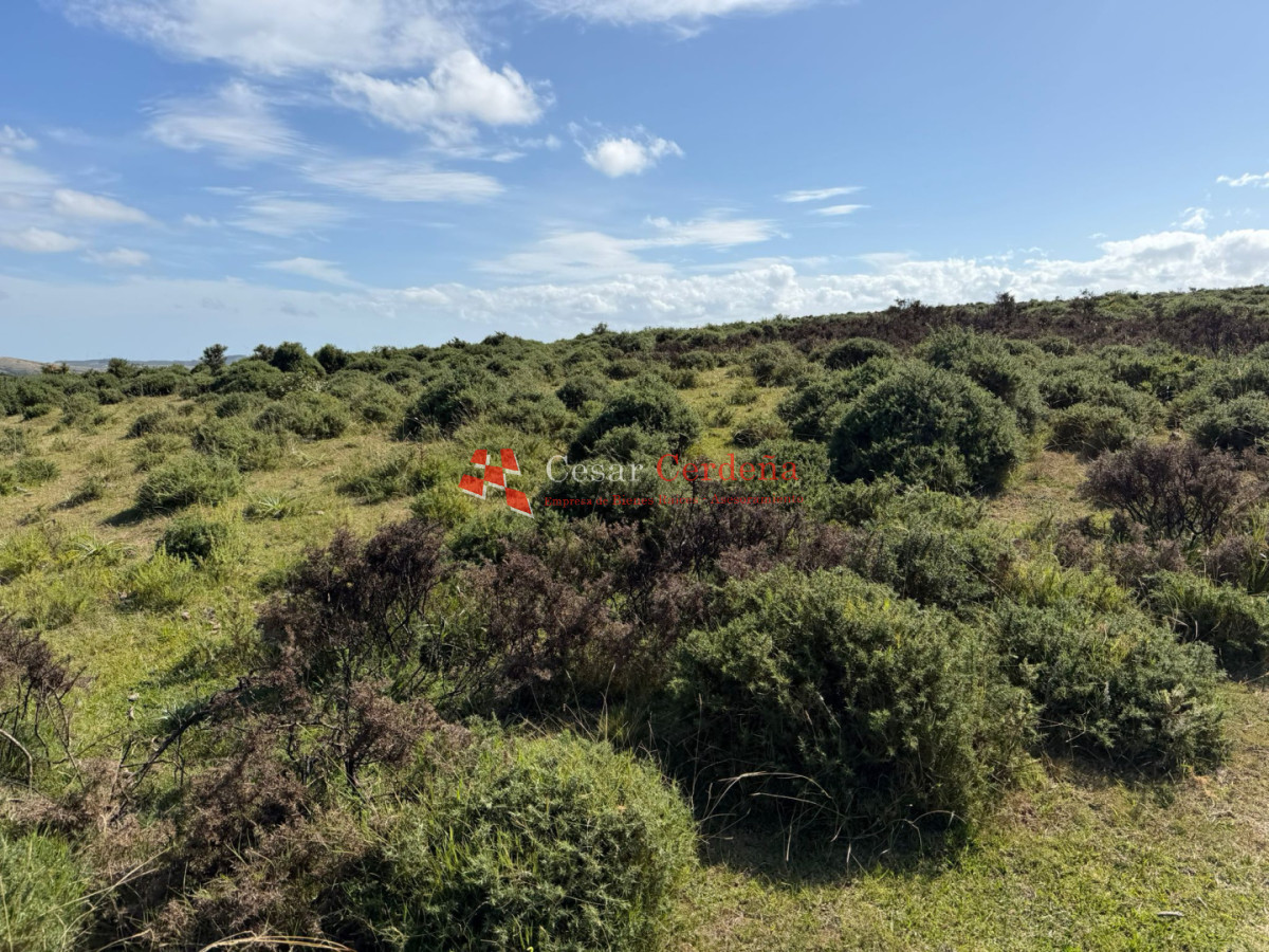 Campo Ref.1964 - VENTA - Campito 59 hectáreas - Castillos, Rocha