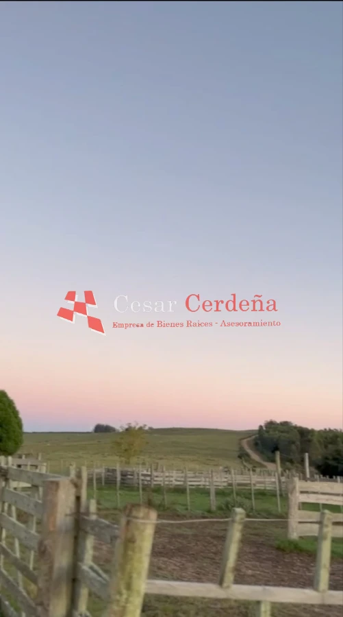 Campo Ref.1936 - VENTA - Campo 240 hectáreas en 19 de Abril - Rocha