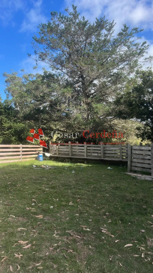 Campo Ref.1956 - VENTA - Campo 295 hectáreas en 19 de Abril - Rocha