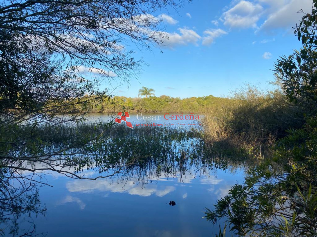 Campo Ref.1661 - VENTA - Campo 890 has Agricolas - Ganaderas en Cerro Largo