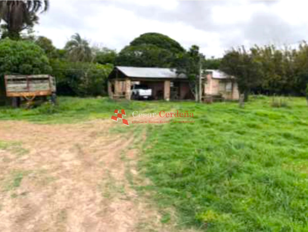 Campo Ref.1909 - VENTA -Campo en Rocha 690 hectáreas 
