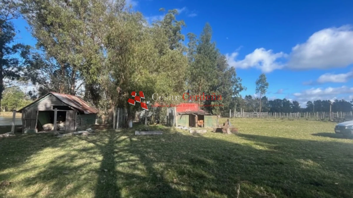 Campo Ref.1780 - VENTA - Campo de 83 hectáreas en Maldonado