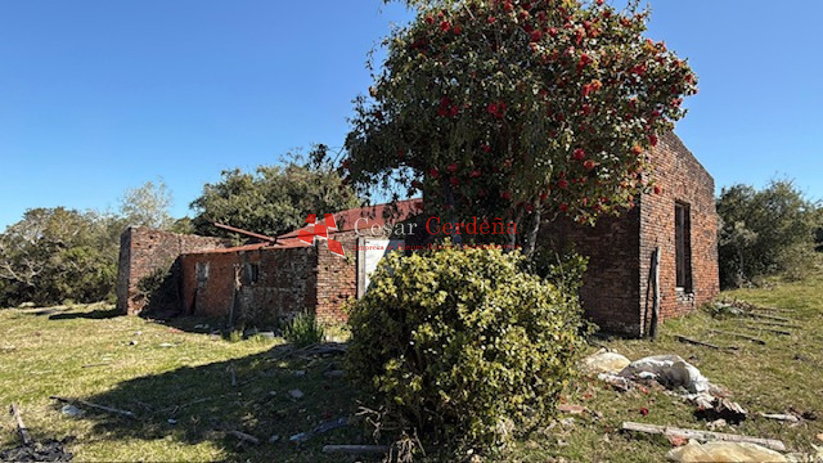 Campo Ref.1968 - VENTA - Campo 106 hectareas - Castillos