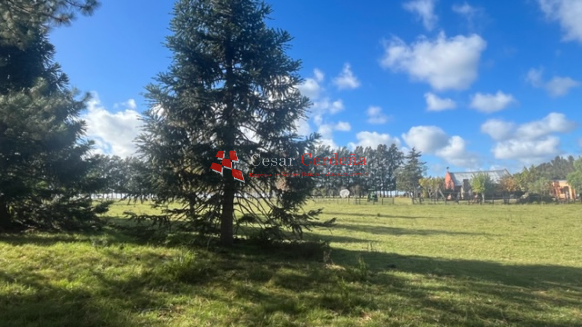 Campo Ref.1937 - VENTA - Campo de 83 hectáreas en Maldonado
