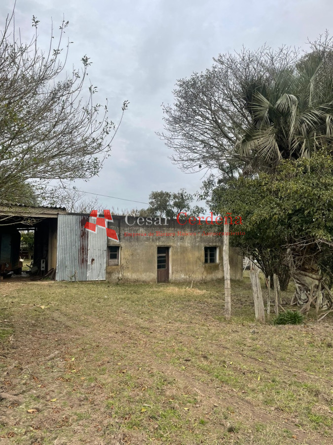 Campo Ref.1899 - VENTA - Campo 208 hectareas en La Coronilla