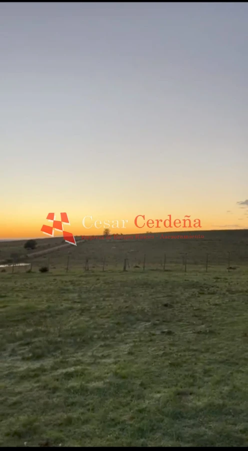 Campo Ref.1936 - VENTA - Campo 240 hectáreas en 19 de Abril - Rocha