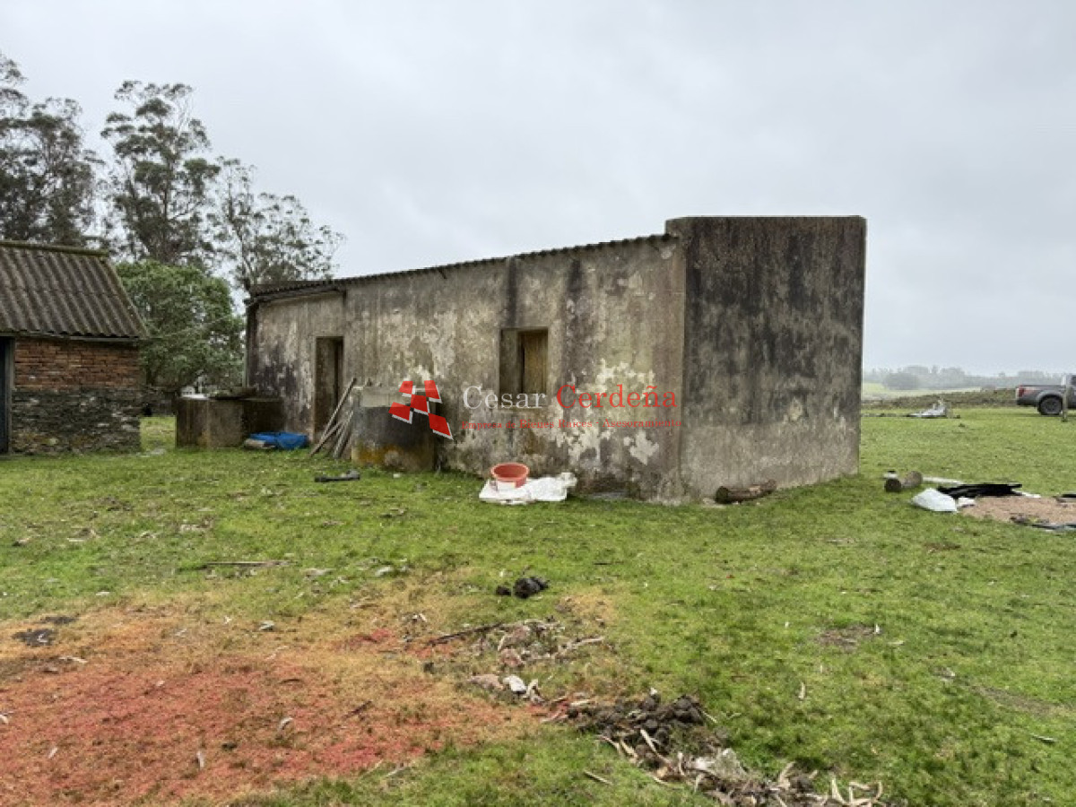 Campo Ref.1964 - VENTA - Campito 59 hectáreas - Castillos, Rocha