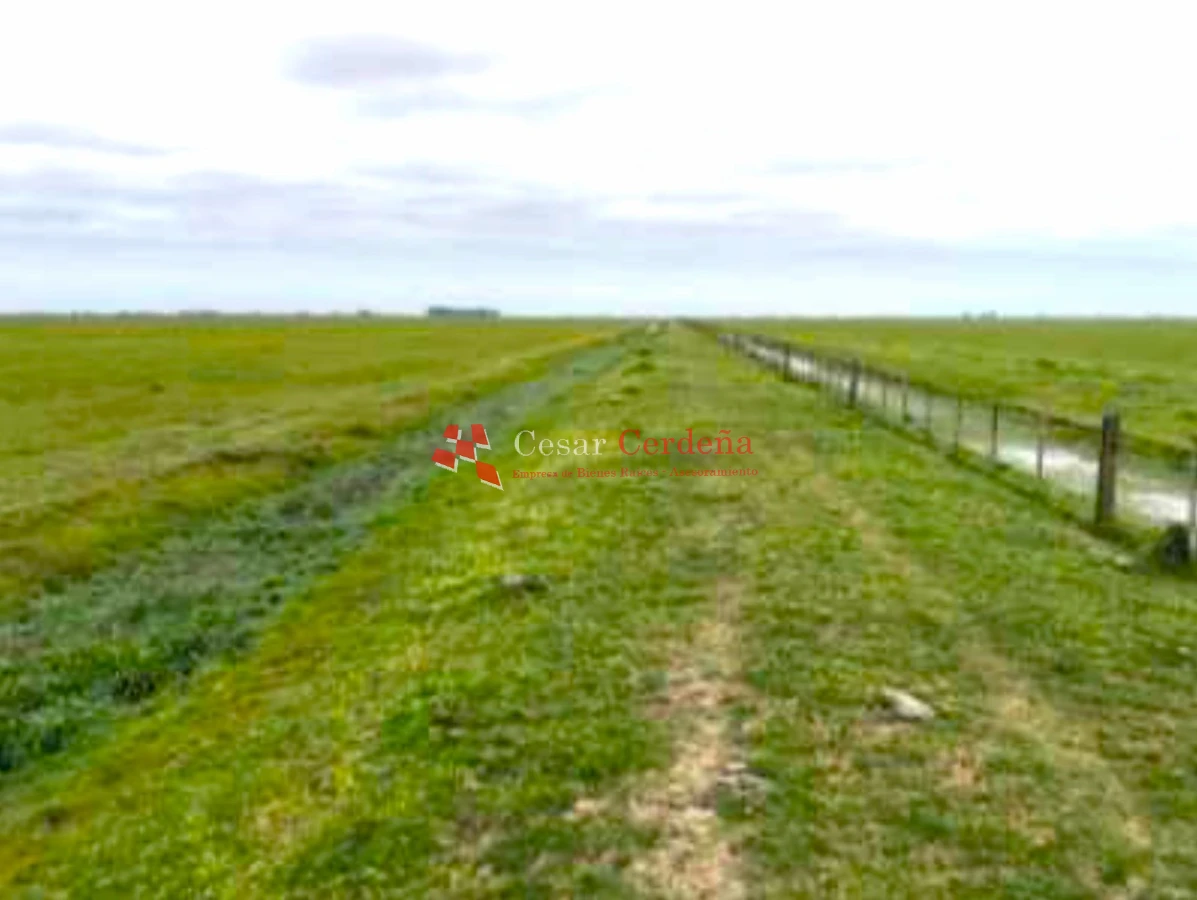 Campo Ref.1909 - VENTA -Campo en Rocha 690 hectáreas 