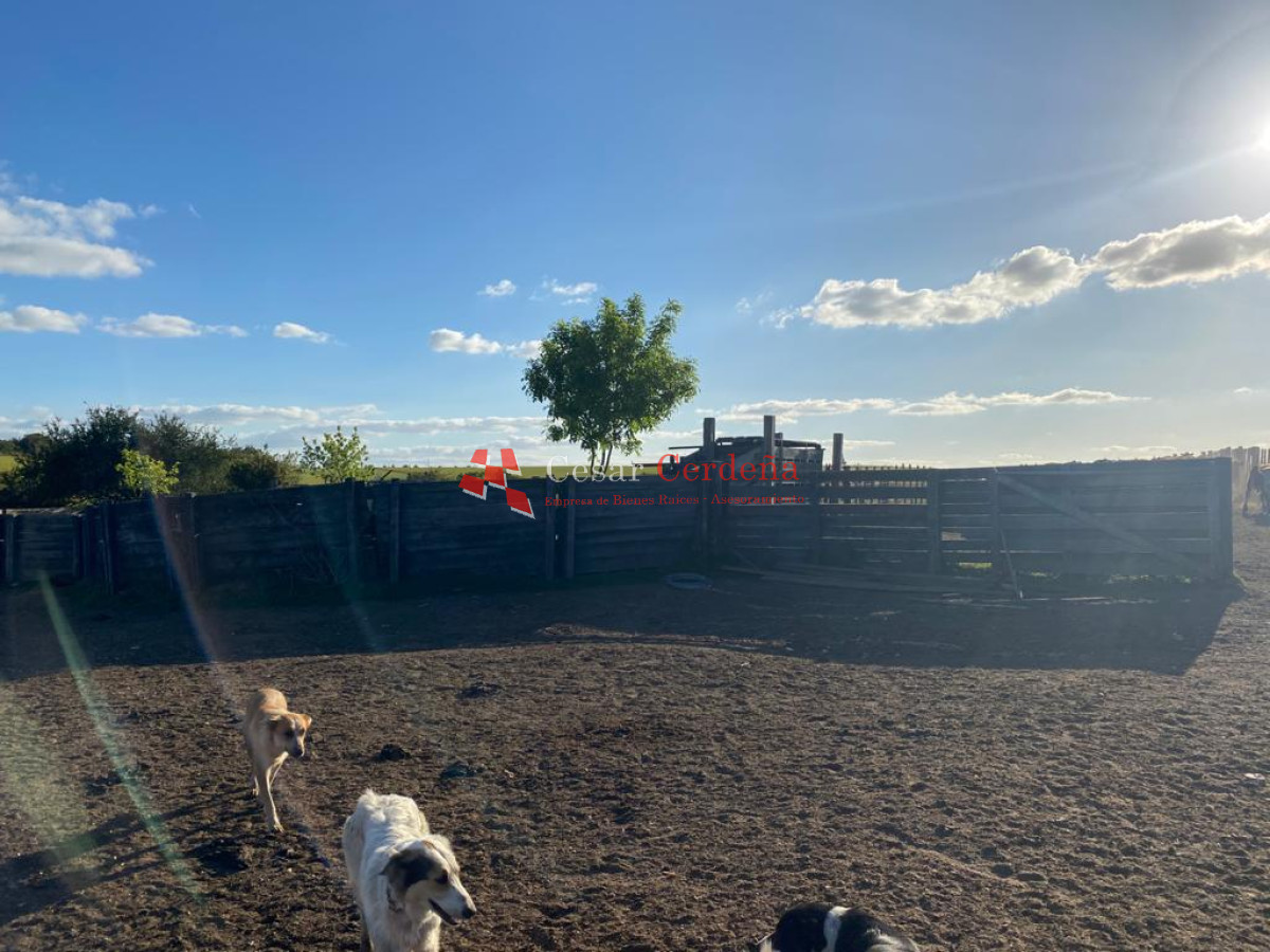 Campo Ref.1661 - VENTA - Campo 890 has Agricolas - Ganaderas en Cerro Largo