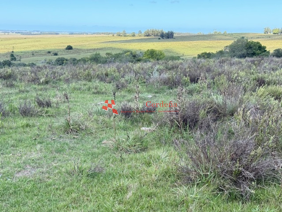 Campo Ref.1947 - VENTA - Campo 316 hectareas en Garzon, Rocha