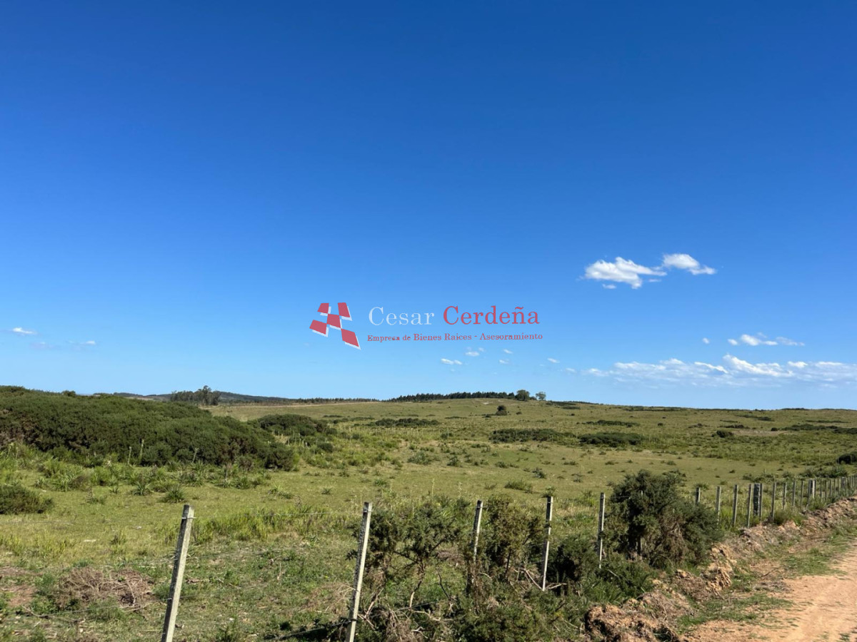 Campo Ref.1847 - VENTA - 112 has Rocha Castillos