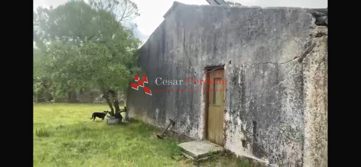 Campo Ref.1922 - VENTA - 124 HAS CASTILLOS