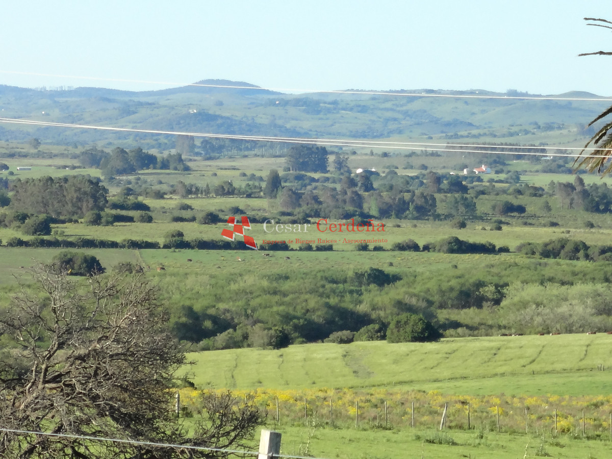 Campo Ref.1938 - VENTA - Campo 1200 hectáreas - Lavalleja