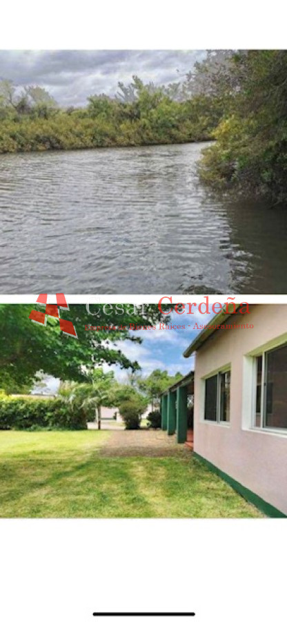 Campo Ref.1850 - VENTA - 735 HECTAREAS ROCHA