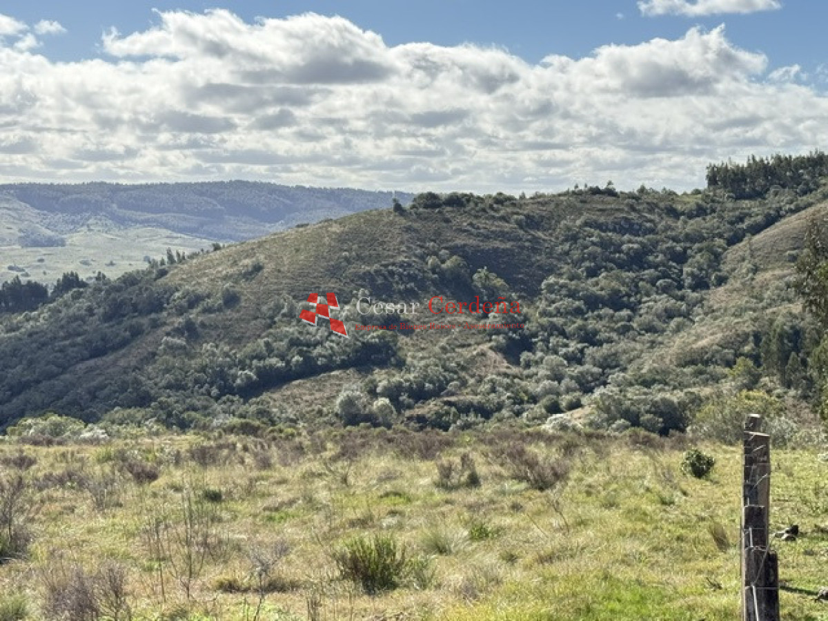 Campo Ref.1981 - VENTA - Campo 372 hectáreas en Piedras Blancas, Rocha