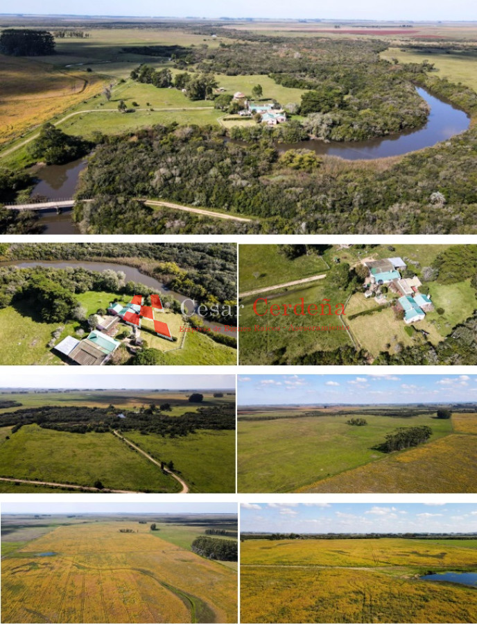 Campo Ref.1850 - VENTA - 735 HECTAREAS ROCHA