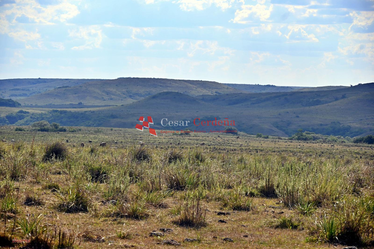 Campo Ref.1910 - VENTA - Campo 3384 hectáreas - Tacuarembo