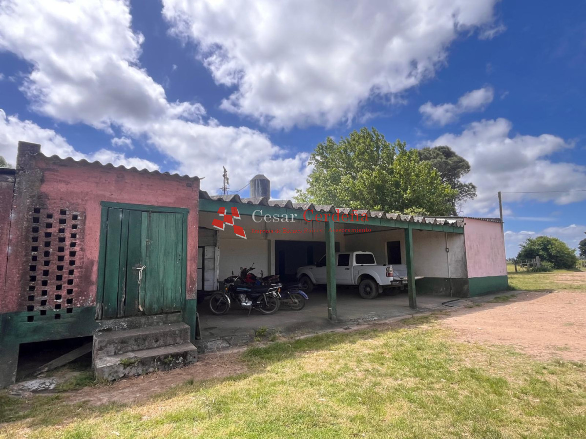 Campo Ref.1850 - VENTA - 745 HECTAREAS ROCHA