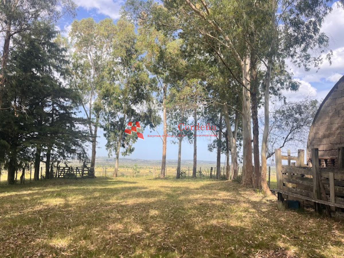 Campo Ref.1952 - VENTA - Campo 138 hectareas en Castillos Rocha