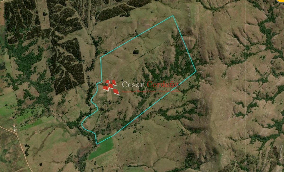 Campo Ref.1852 - VENTA - Campo de 112 hectareas Rocha