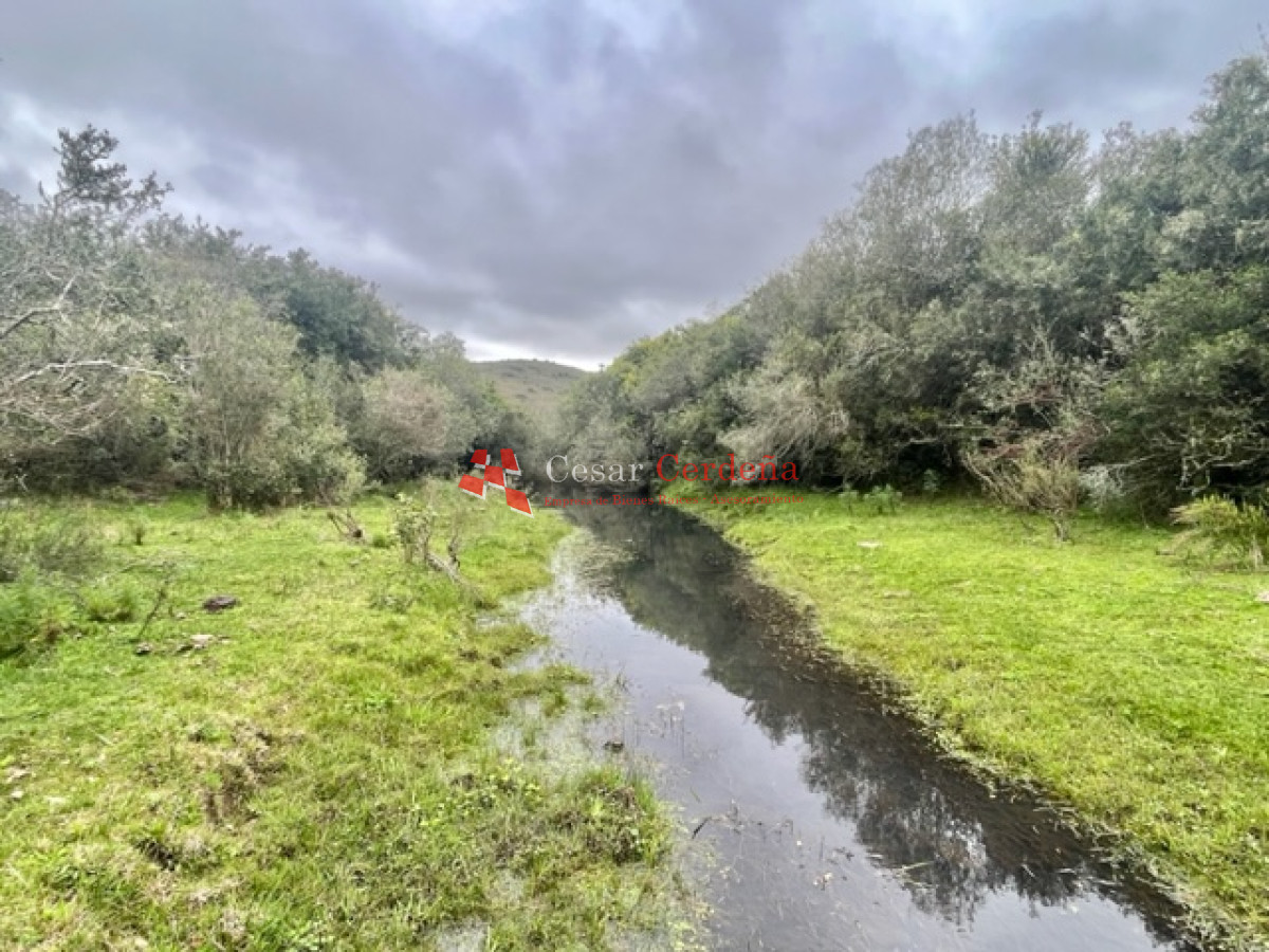 Campo Ref.1900 - VENTA - Campito de 86 hectáreas en las Sierras