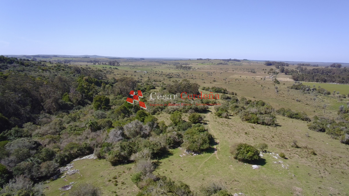 Campo Ref.1968 - VENTA - Campo 106 hectareas - Castillos